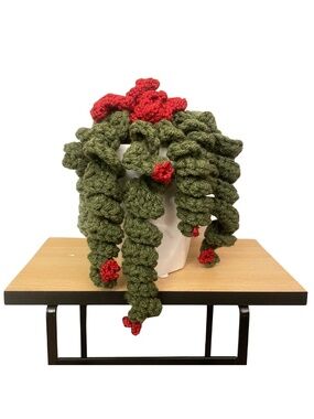 LD Yarn Creations Handmade Green & Red Crocheted Plant Décor – Approx 6” Tall